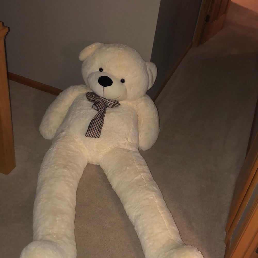 bear